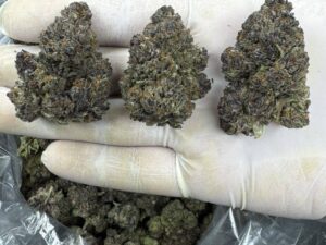 Triple Burger 🍔🍔🍔