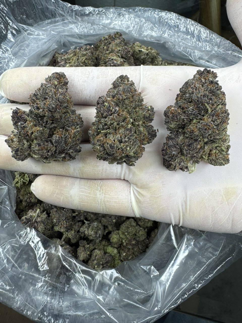 Triple Burger πππ