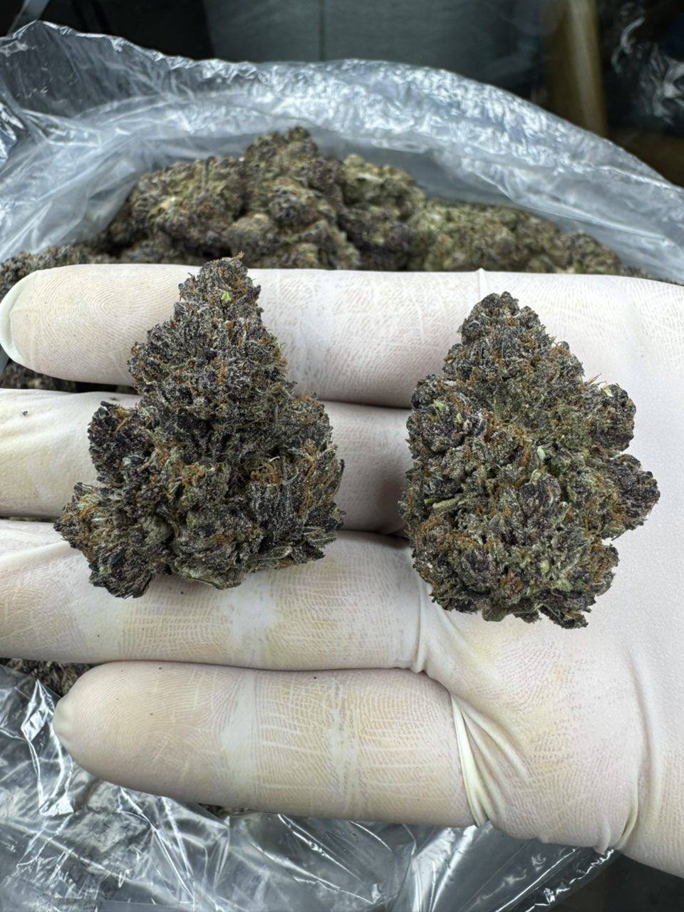 Triple Burger πππ - Image 3