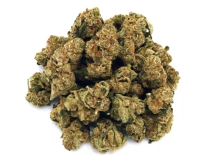 Peanut Butter Lady | Mini-Buds | 1/2 oz.