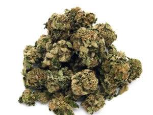 Rainbow | Mini-Buds | 1/2 oz.