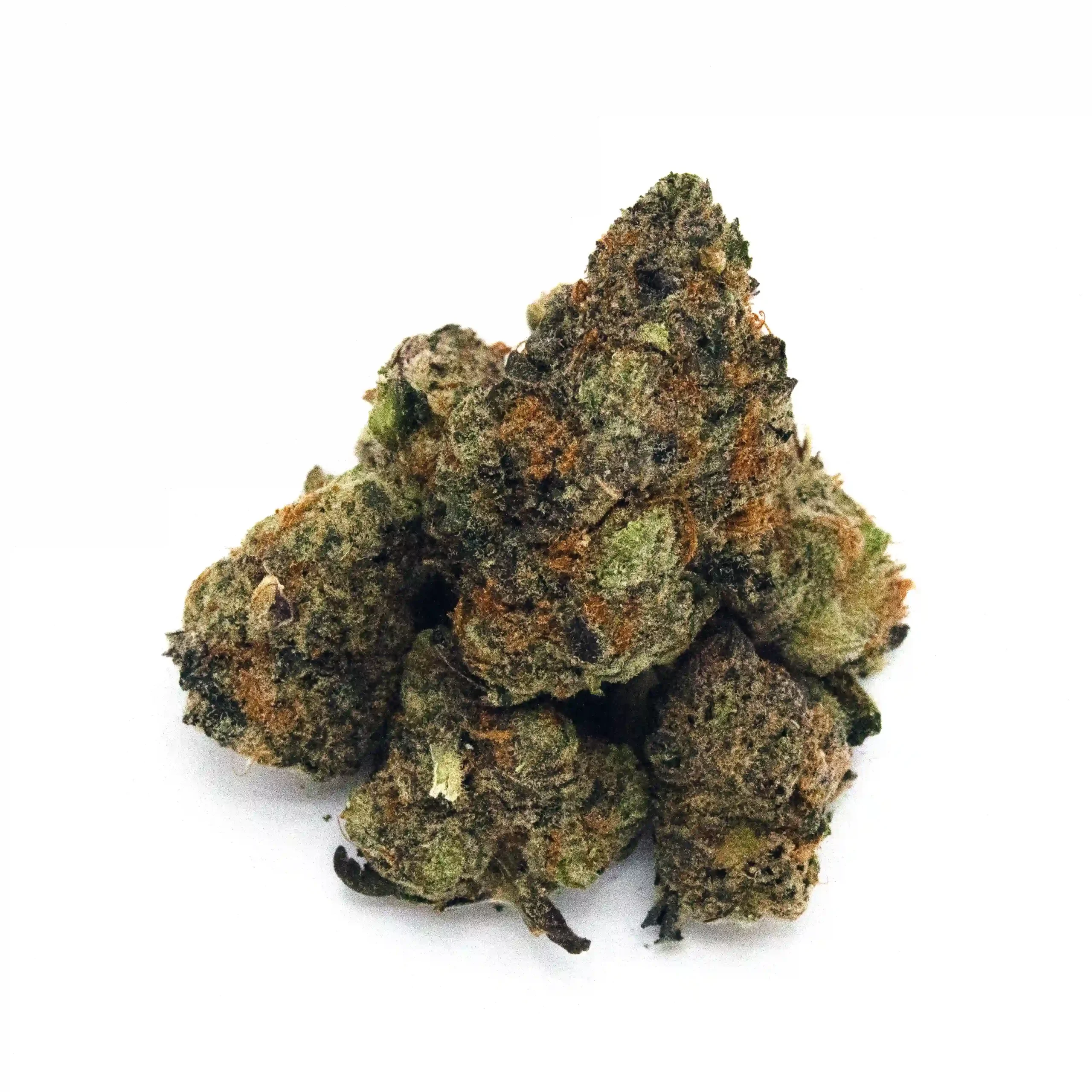 Lemon Lime Haze | Mini-Buds | 1/8 oz.| Signature - Image 2