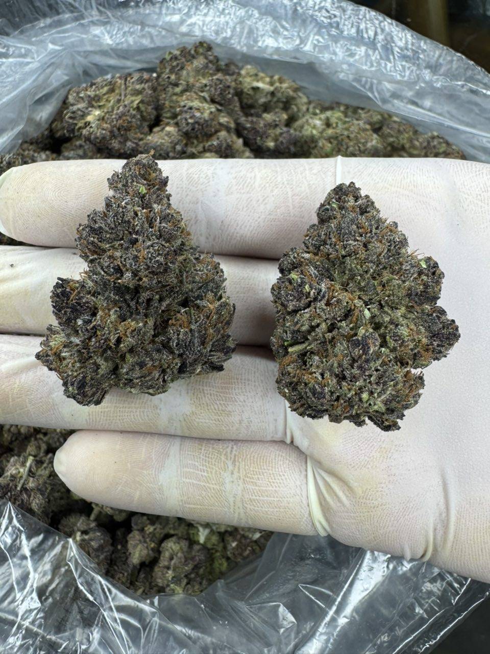 Triple Burger πππ - Image 2