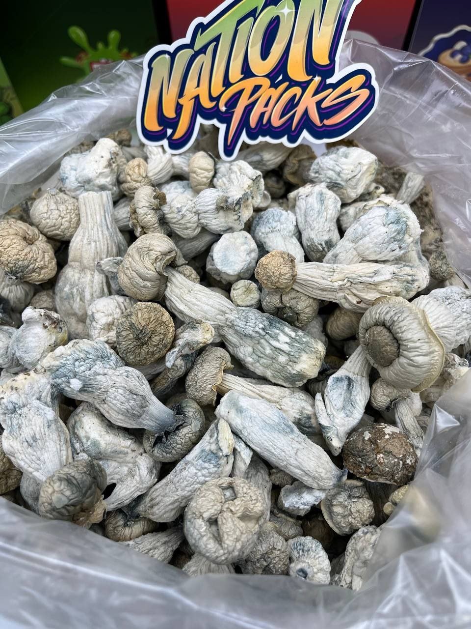 🍄 Avalanche Magic Mushrooms