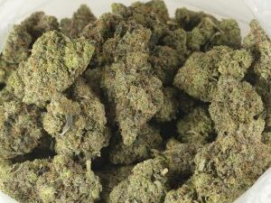 🌿 Applez #11 – Premium Flower