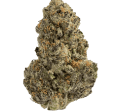 Triple Burger 🍔🍔🍔