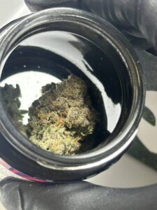 Alien labs 👽🧪