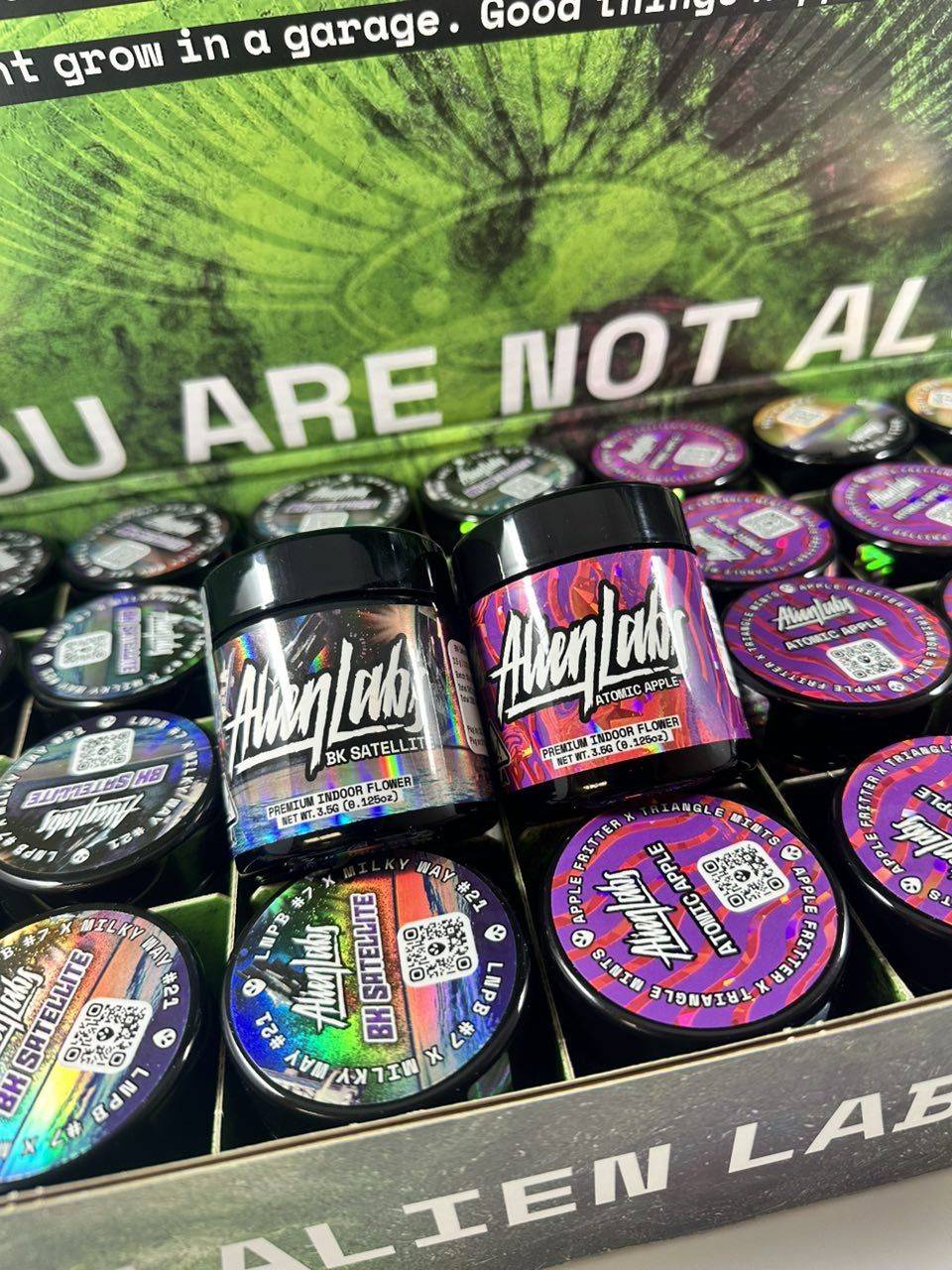 Alien labs - Image 3