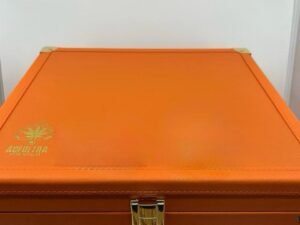 Alternative view of ACE ULTRA